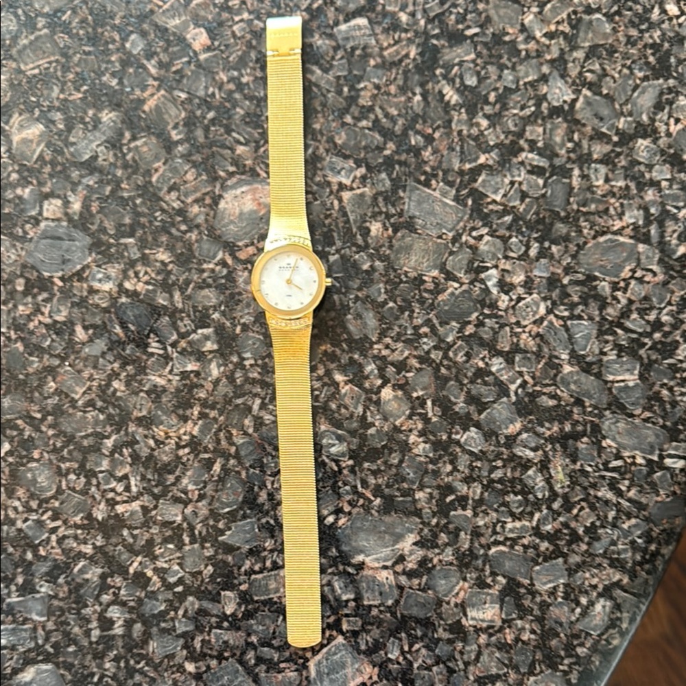 Elegant Gold Watch by skagen. Gift but never worn. Still has the peel sticker on